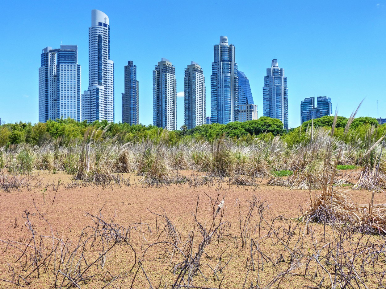 "Reserva Ecologica Costanera Sur, Bs. As. Argentina" de Kile Zabala