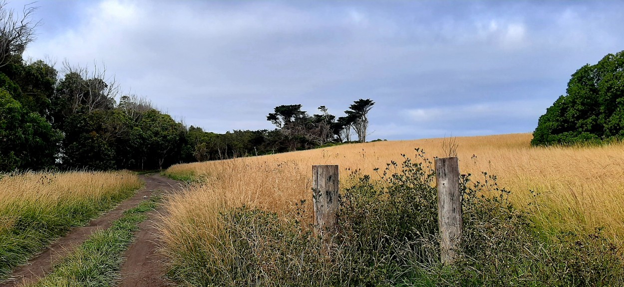 "Paisaje rural" de Juan Carlos Viegas