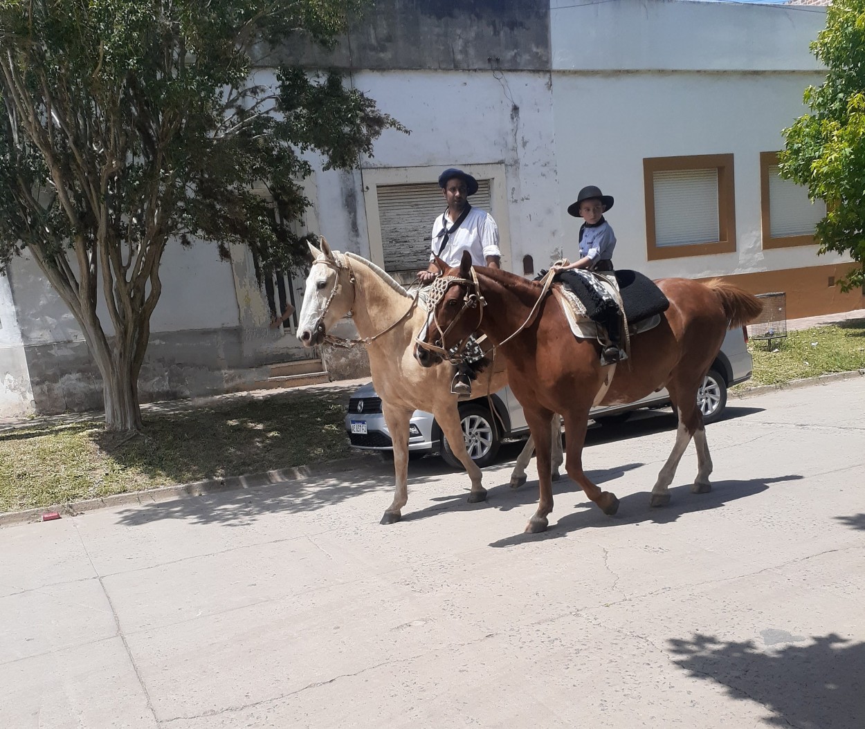 "Jinetes en la ciudad" de Daniela Palma