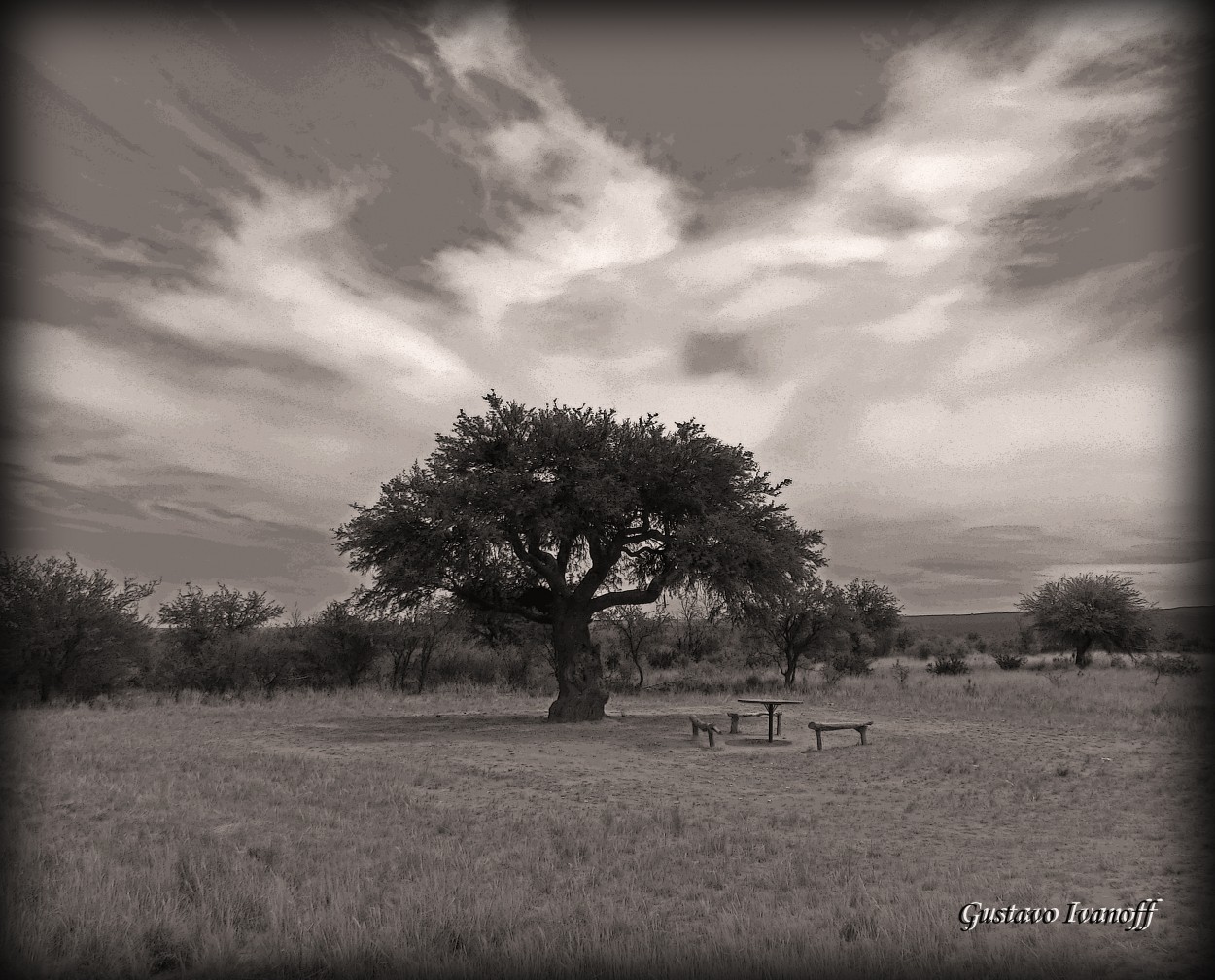 "Moto descanso El Calden" de Gustavo Luben Ivanoff