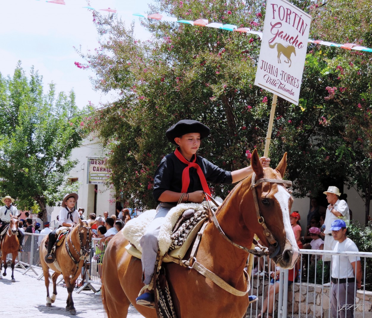 "Juana Torres" de Jorge Vargas