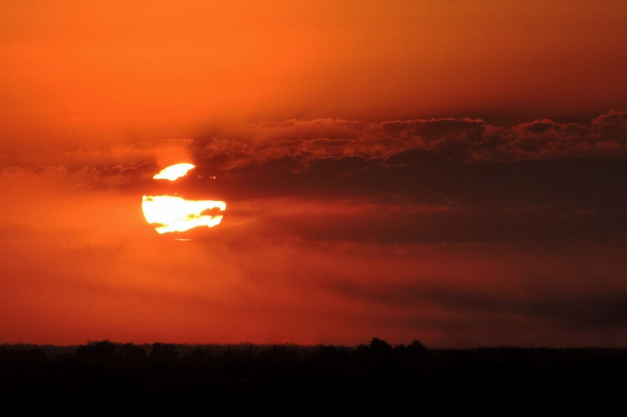 "Atardecer" de Silvia Olliari