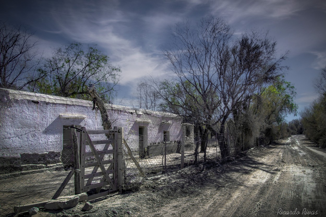 "Calle de Retamito" de Ricardo Rivas