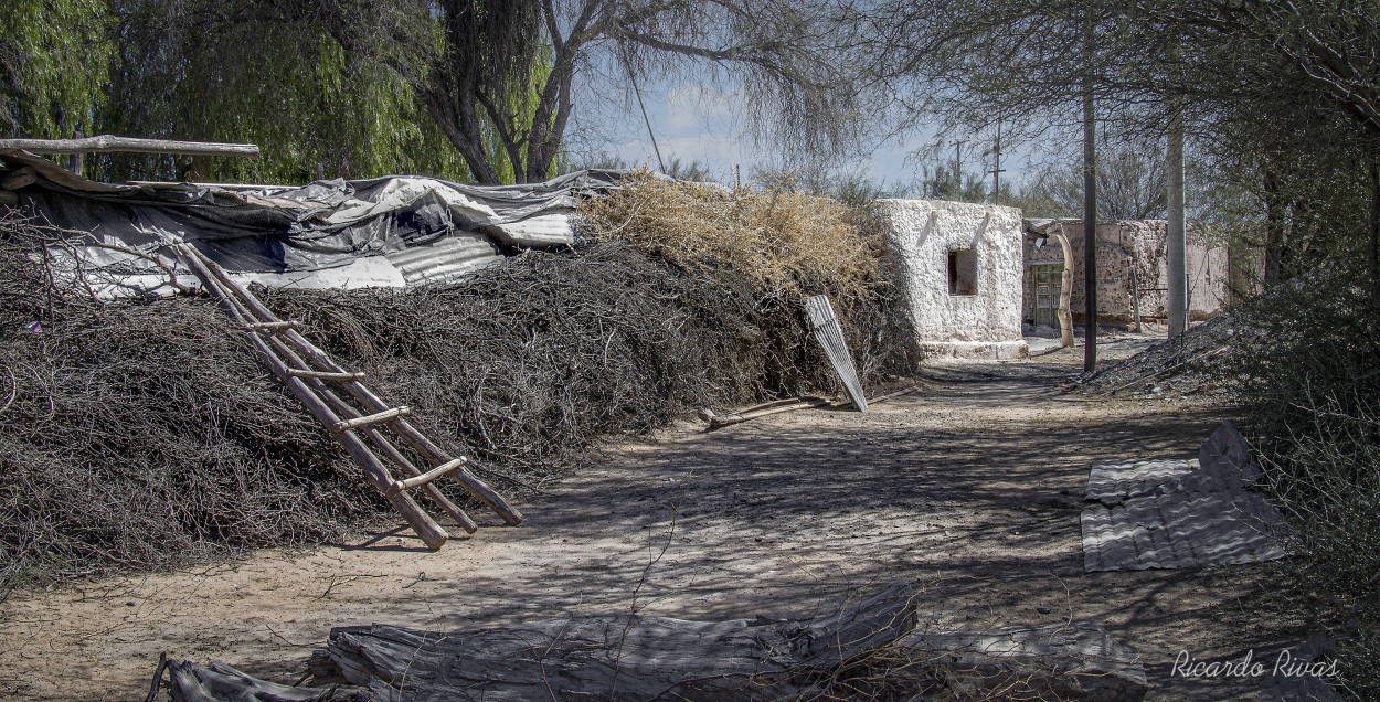 "Casa de campo" de Ricardo Rivas