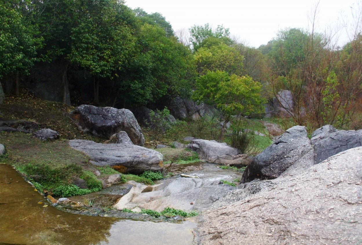 "Piedras en el rio" de Jorge Vargas