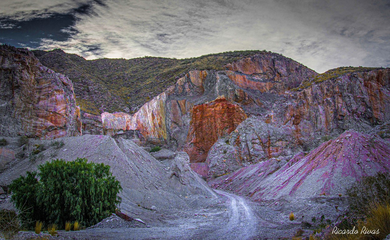 "Mineral" de Ricardo Rivas