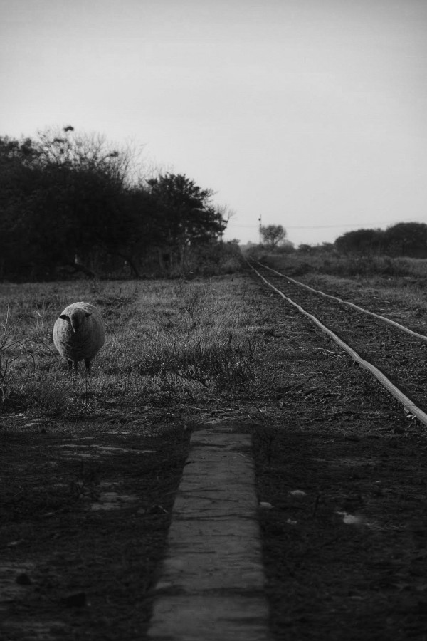 "El ultimo pasajero.." de Claudio Romano