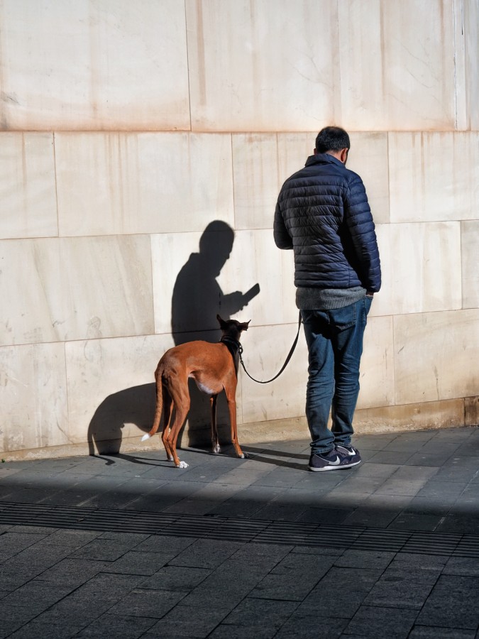 "Hombre y perro" de Francisco Jos Cerd Ortiz