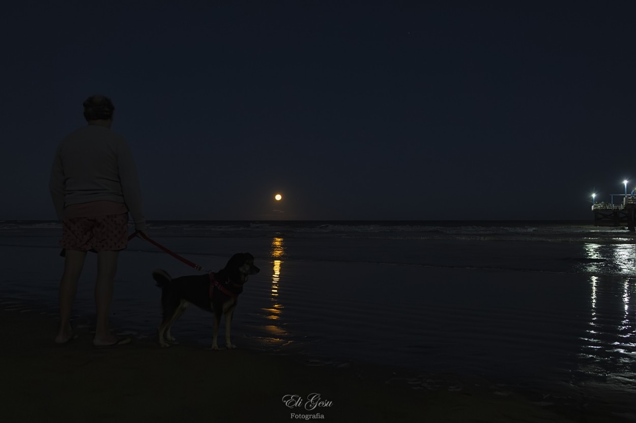 "Luna llena sobre el mar" de Elizabeth Gesualdo