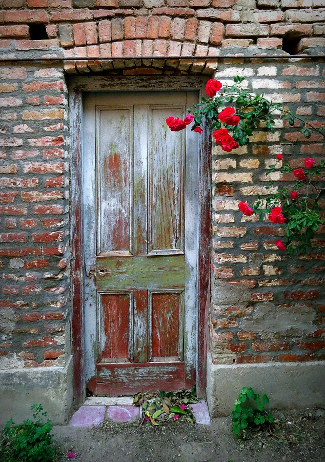 "La puerta de la rosa" de Alejandro del Valle