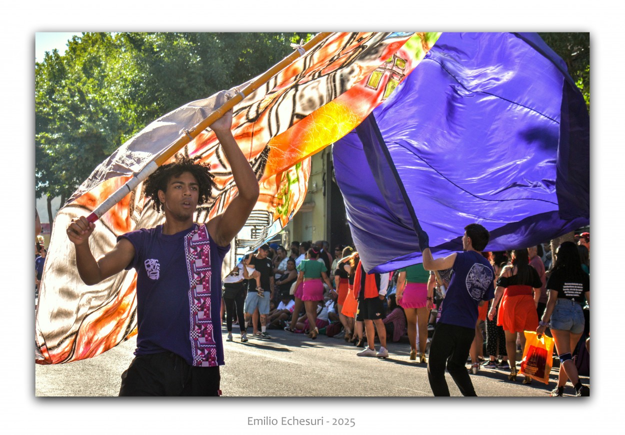 "Agitando banderas (II)" de Emilio Echesuri