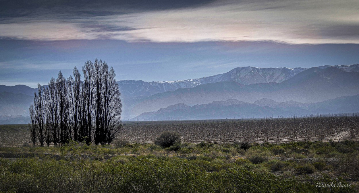 "Paisaje rural" de Ricardo Rivas