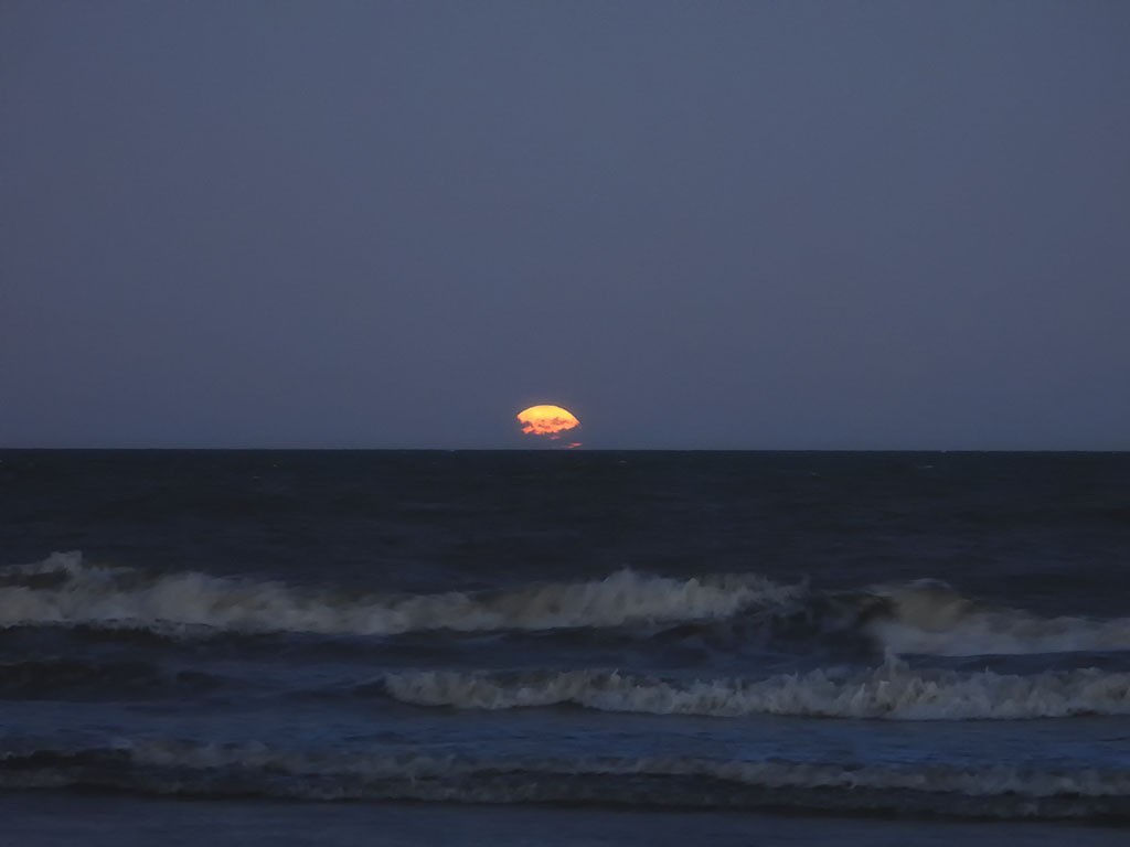 "sale la luna" de Mercedes Orden