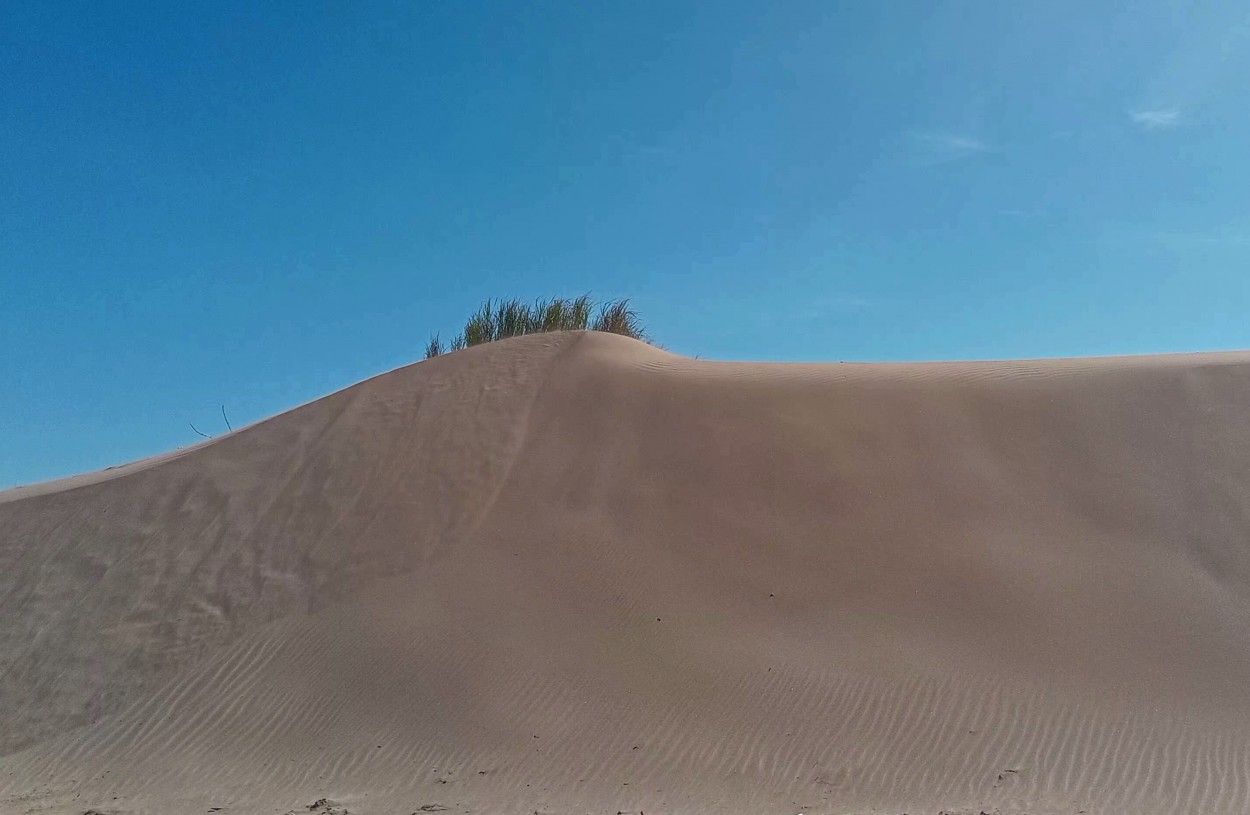 "Medanos" de Americo Rosa Pombinho