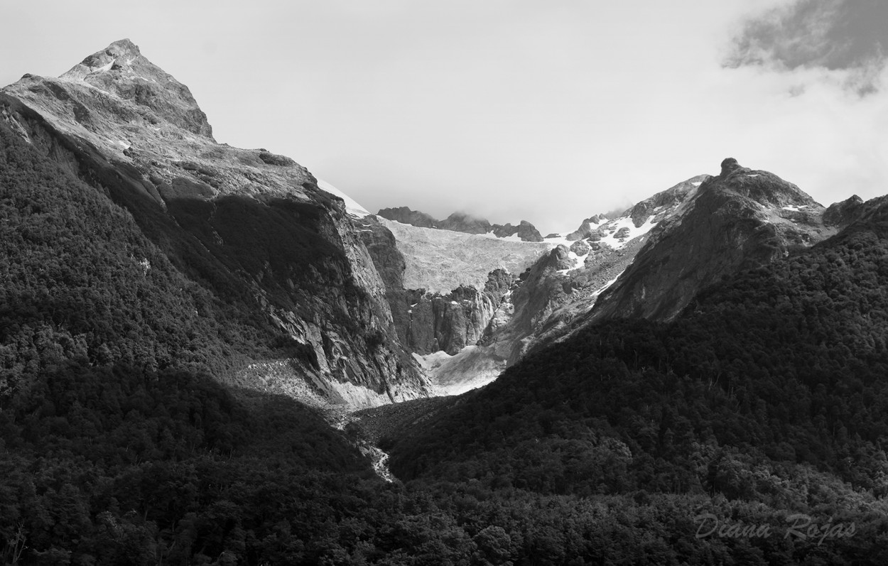 "Glaciar Torrecillas" de Diana Rojas