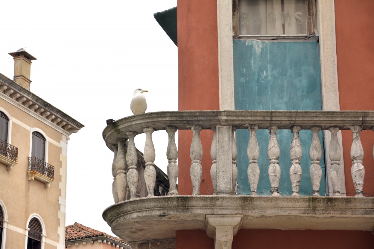 "El balcon y ella" de Andrea Cormick