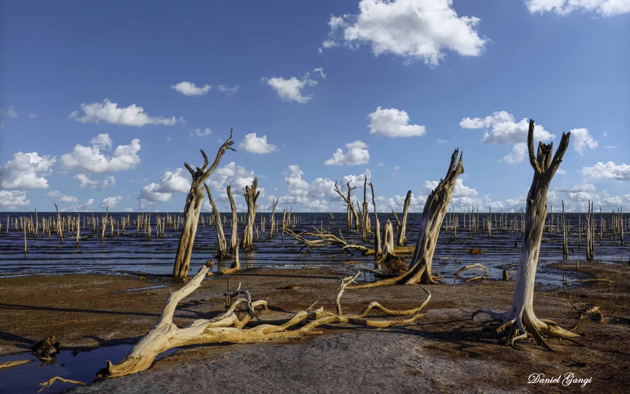 "Laguna de4 Ansenuza/Cordoba" de Alberto Daniel Gangi