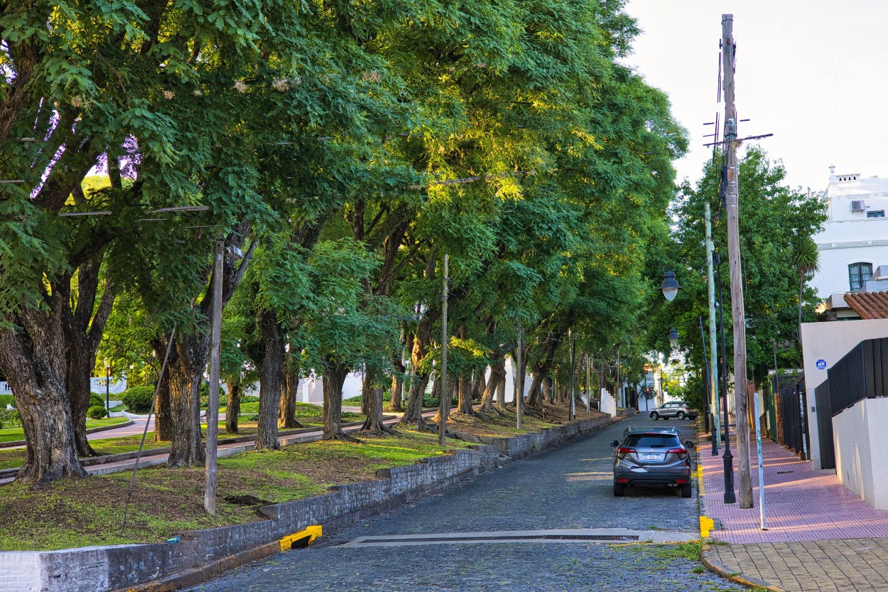 "Plaza Mitre" de Luis Camisani