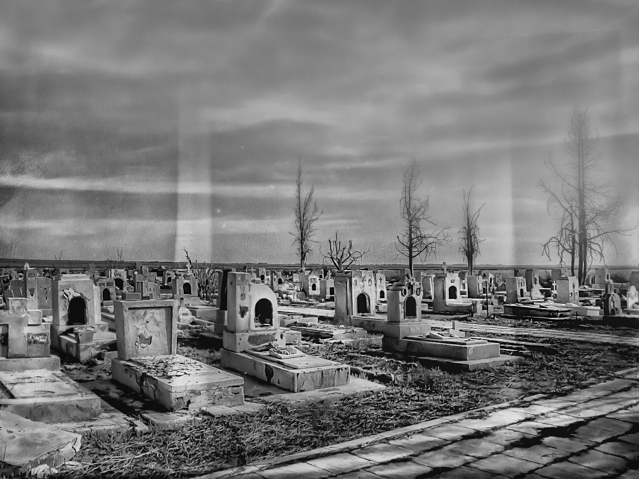 "Cementerio de Epecuen..." de Cristina Wnetrzak