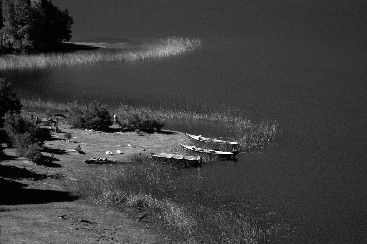 "Lago Vidal Gormaz" de Osvaldo Sergio Gagliardi