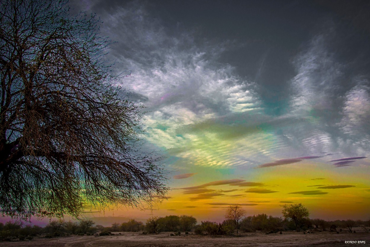 "Ocaso en el secano" de Ricardo Rivas