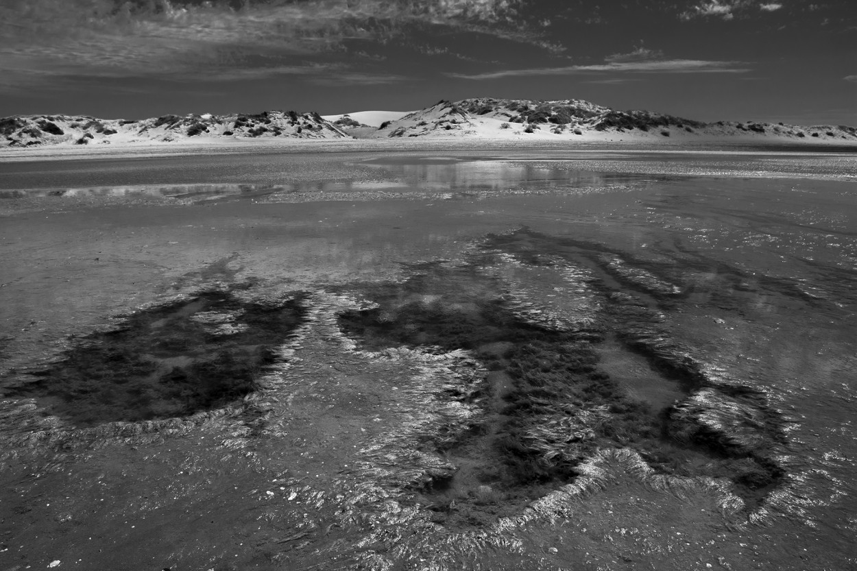 "Paisaje Patagnico" de Osvaldo Sergio Gagliardi