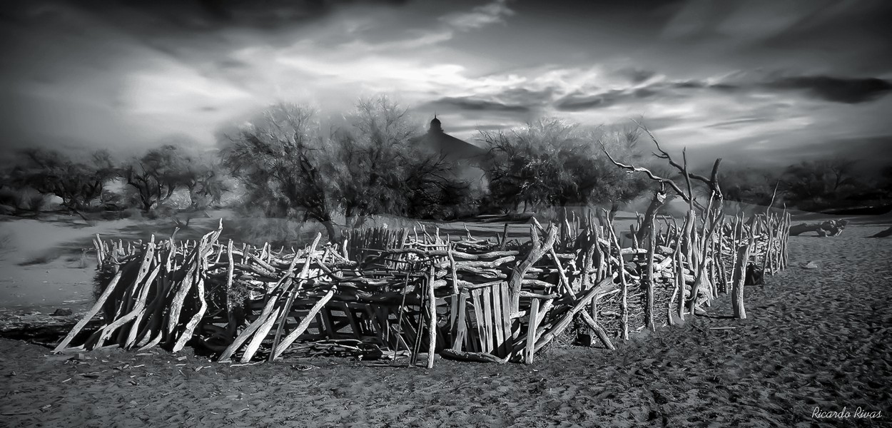 "Corral en el secano" de Ricardo Rivas