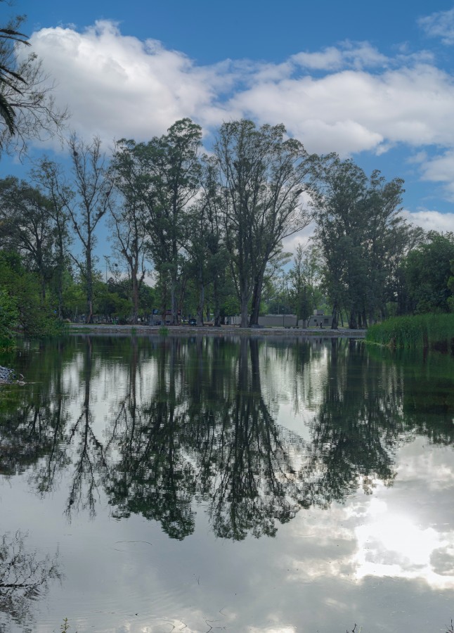 "Reflejos en el parque" de Luis Torres Sal