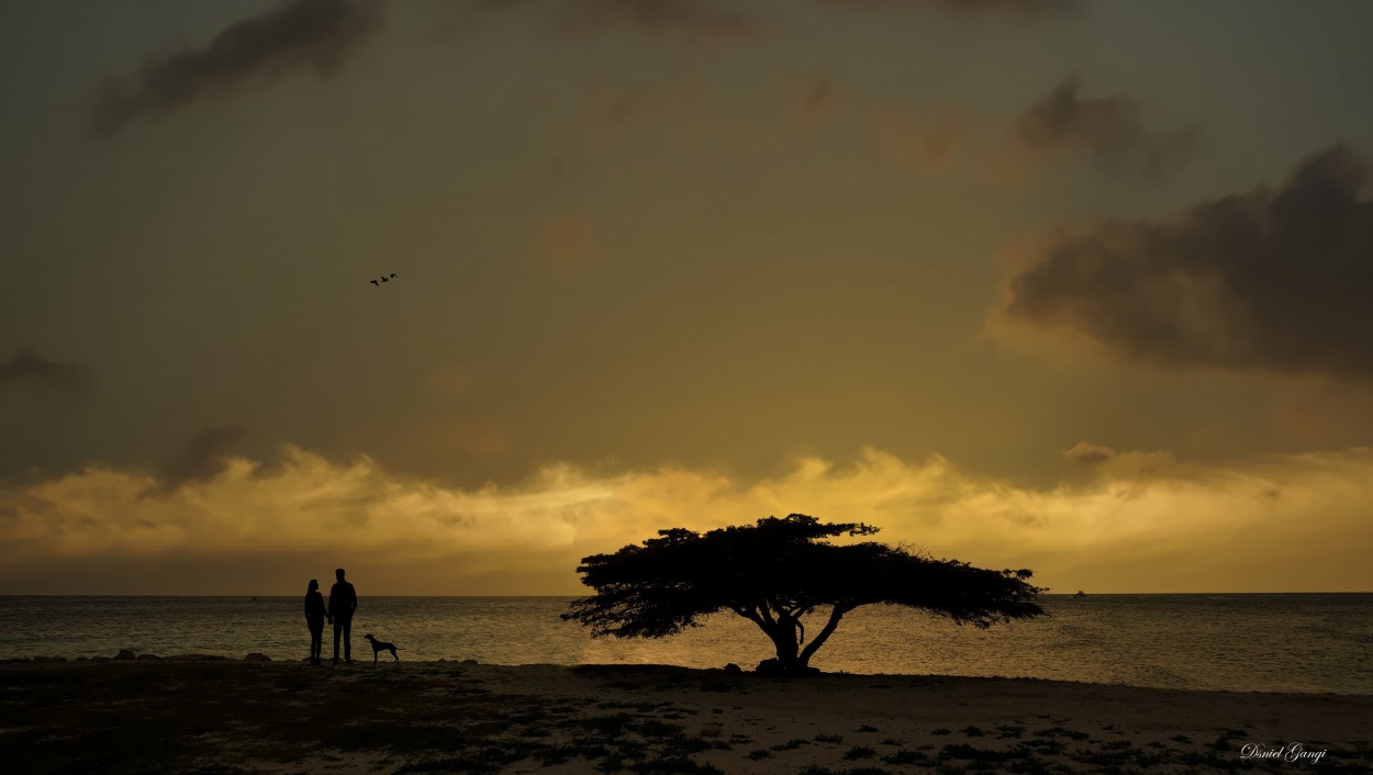 "Isla de Aruba" de Alberto Daniel Gangi