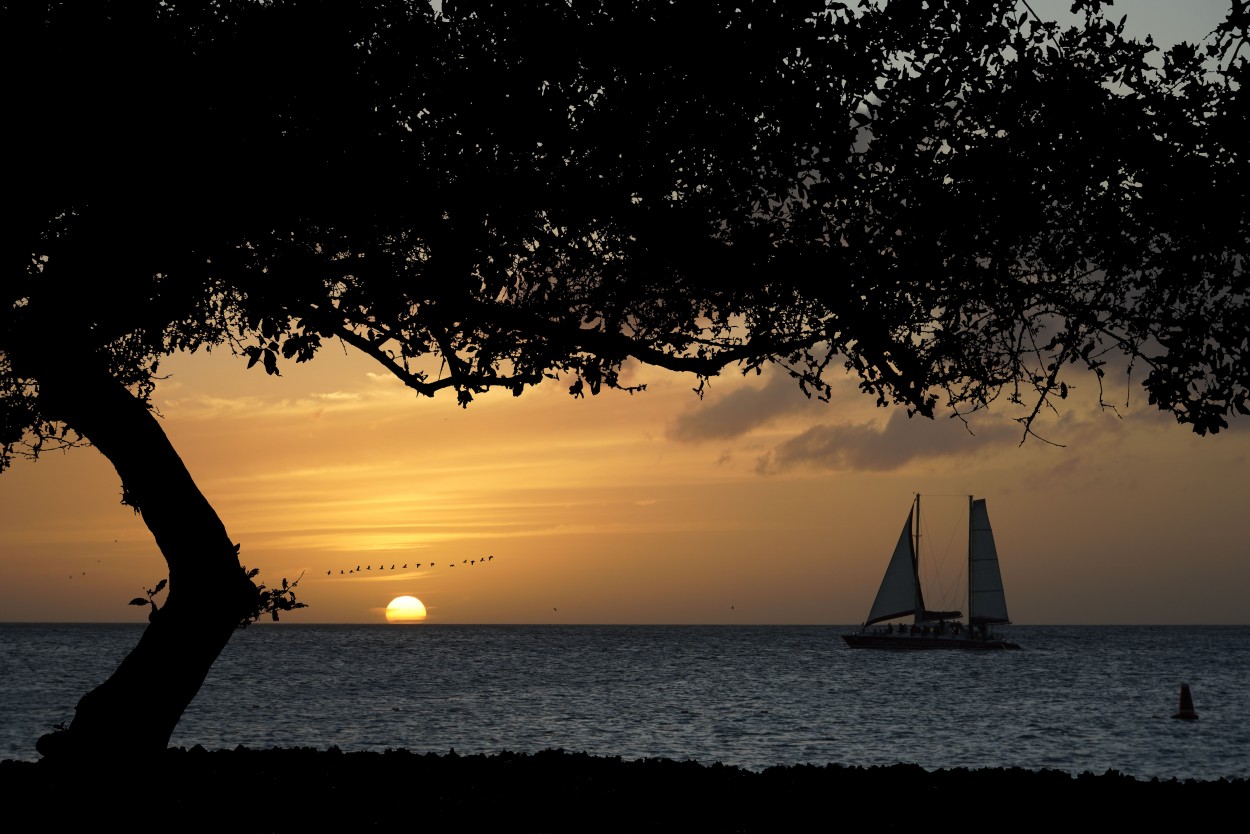 "Isla de Aruba" de Alberto Daniel Gangi