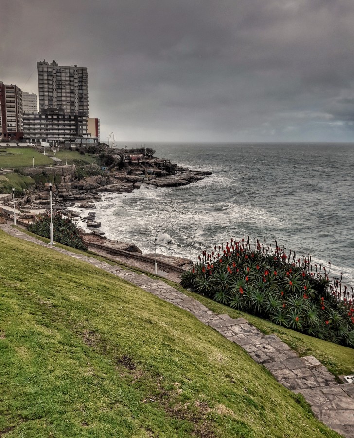 "Mal dia para pasear" de Roberto Guillermo Hagemann