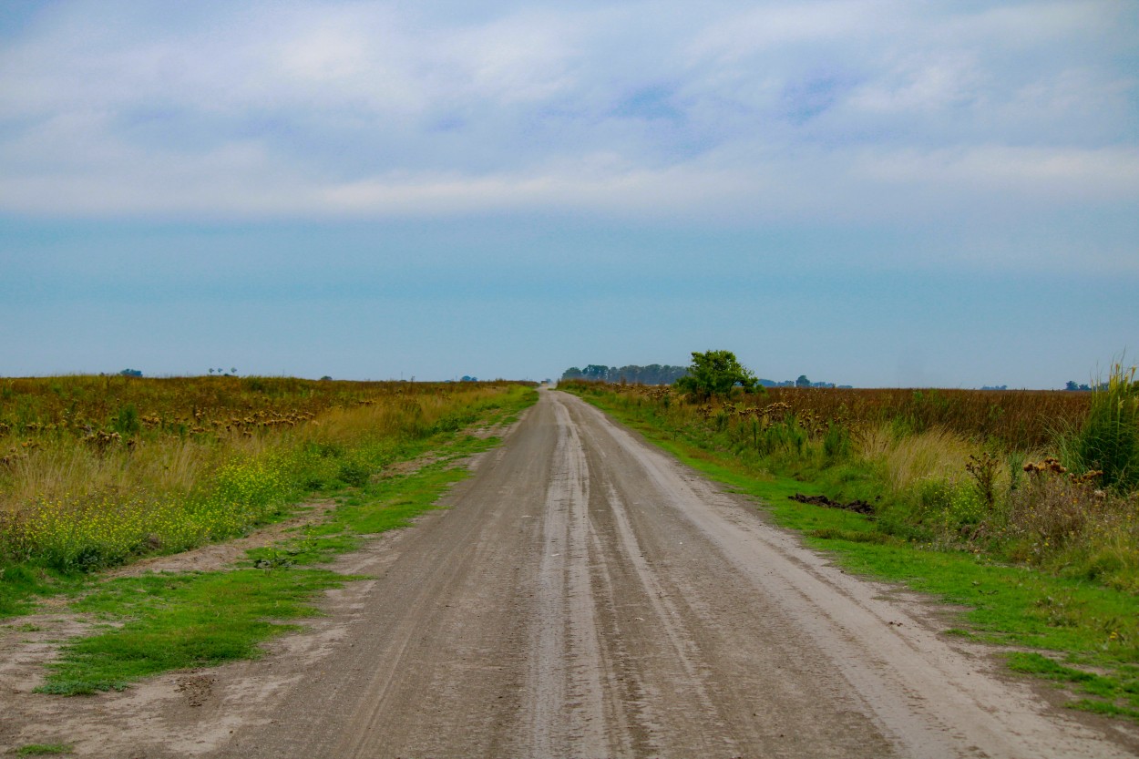 "Camino recto" de Patricio Abel Vera