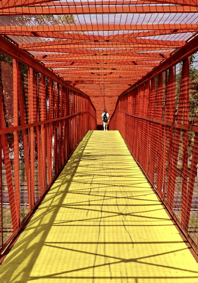 "El puente" de Americo Rosa Pombinho