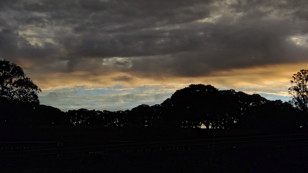 "Gris Atardecer como cantaba el querido Palo" de Pablo Plavnick