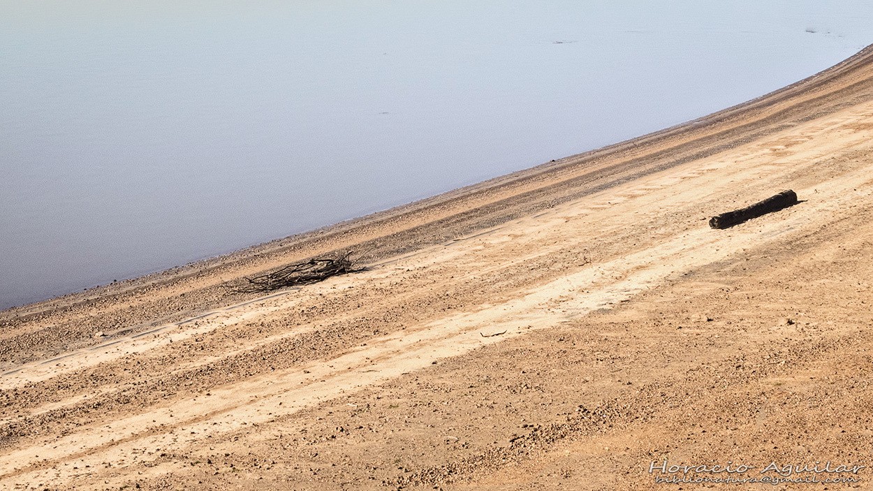 "Playa Solitaria" de Horacio Aguilar