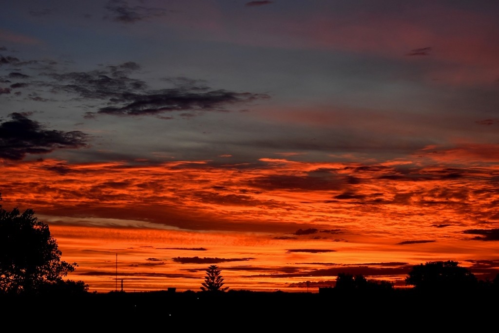 "Los atardeceres rojos..." de Pedro V. Milanovich