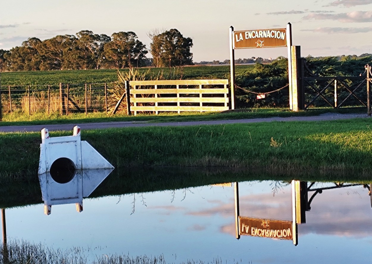 "Reflejo" de Marcelo Di Marco