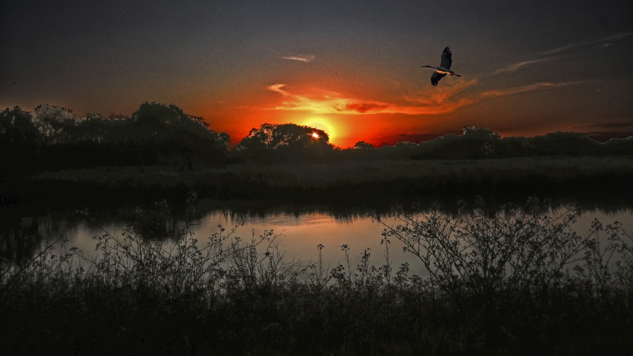 "Ultimo sol en la laguna" de Juan Carlos Barilari