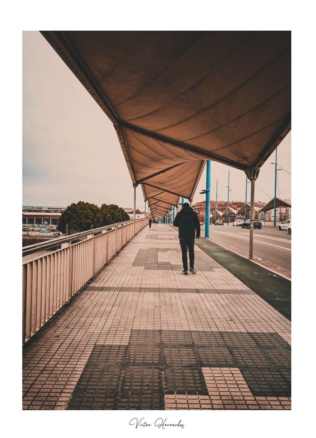 "Caminante eterno." de Victor Houvardas