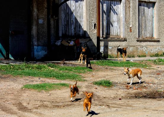 Foto 4/CUATRO ESTACIONES-paseo por la historia