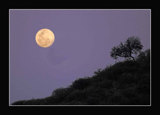 Foto 1/La luna y yo