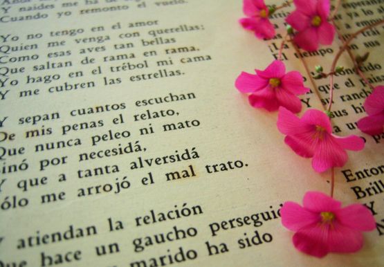 Foto 1/libros y flores