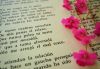 libros y flores