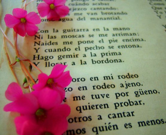 Foto 2/libros y flores