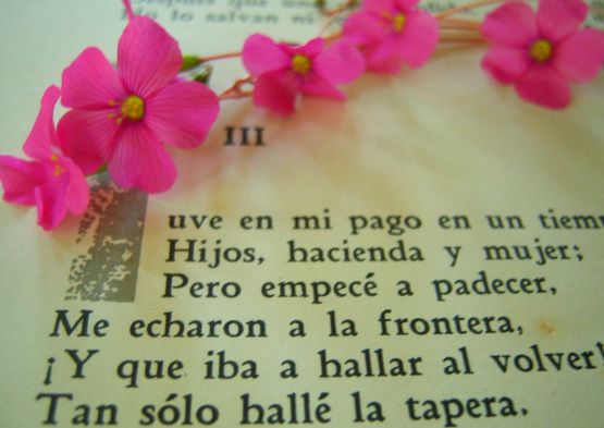 Foto 5/libros y flores