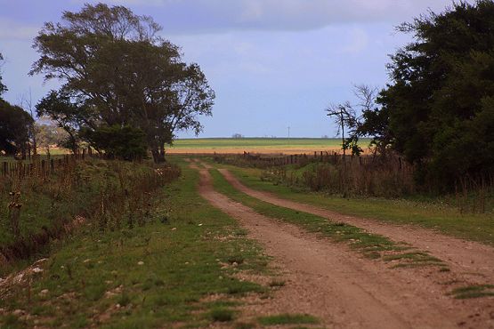 Foto 4/LOS CAMINOS DE LA VIDA1 parte