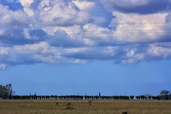 Foto 1/LOS CAMINOS DE LA VIDA 2 parte