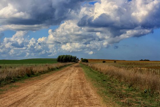 Foto 5/LOS CAMINOS DE LA VIDA 2 parte