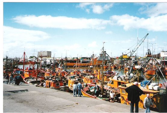 Foto 2/trabajadores -feliz da-