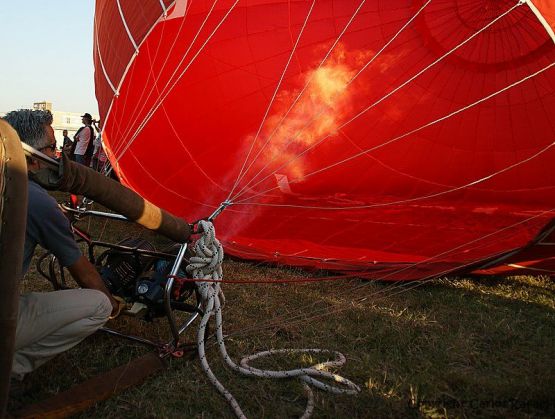 Foto 3/El Globo Rojo